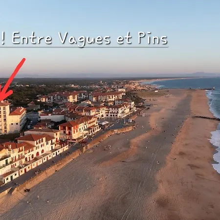 아파트 Vue Incroyable! A 50m, Hossegor *