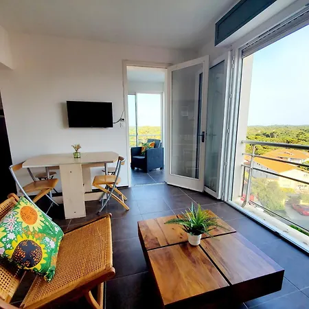 公寓 Vue Incroyable! A 50m, Hossegor